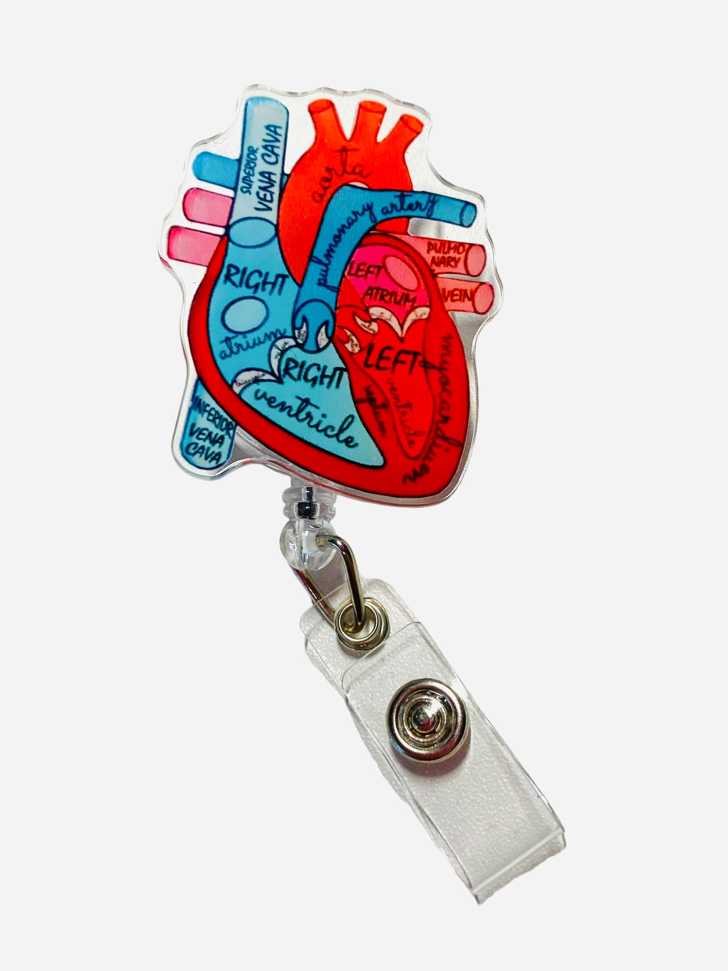 Anatomical Heart Badge Reel