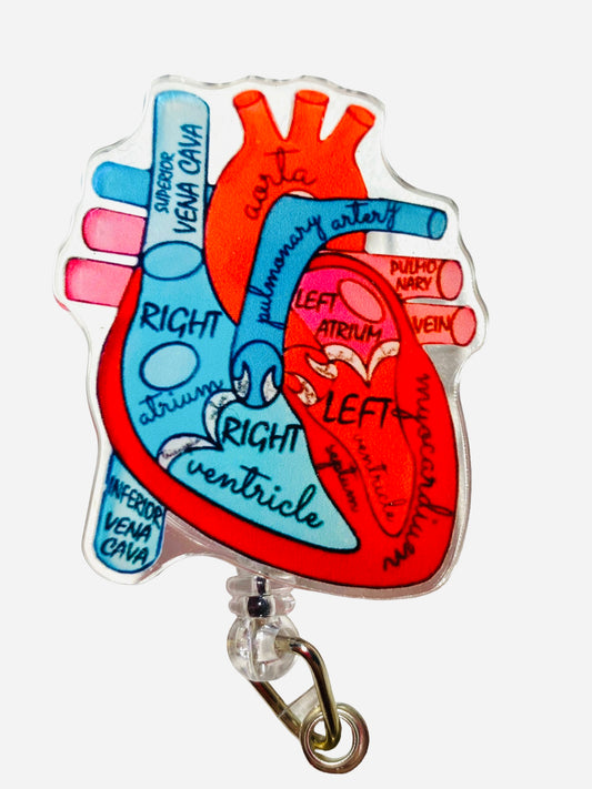 Anatomical Heart Badge Reel